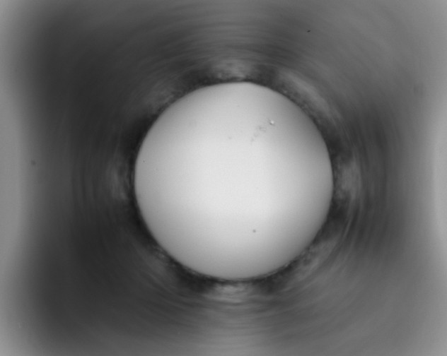 X0000092050414200709262013