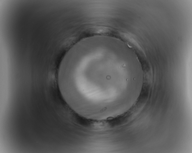 X0000092050415200709262013