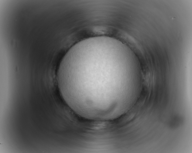 X0000092050418200709262013