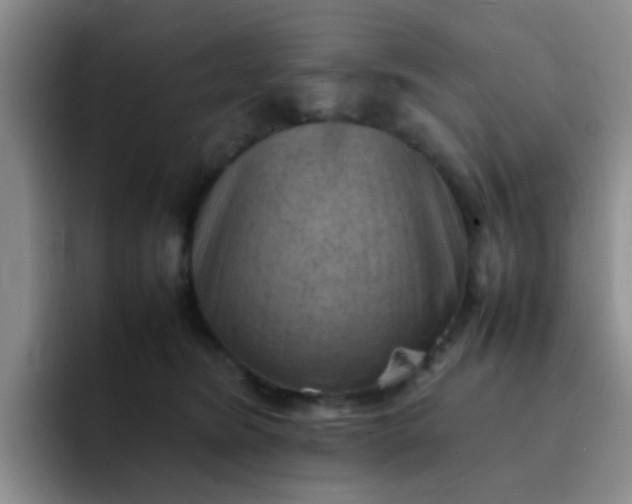 X0000092050420200709262013