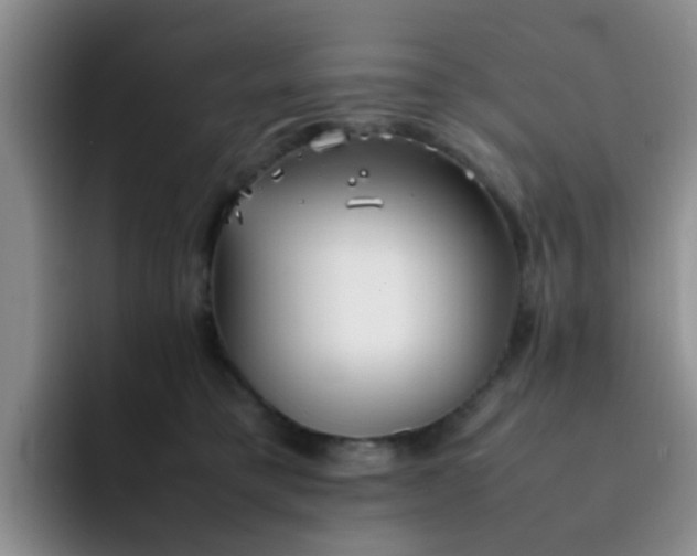 X0000092050421200709262013