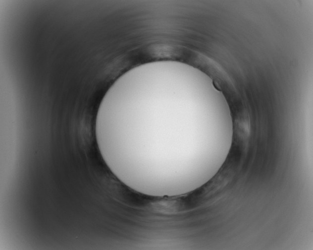 X0000092050422200709262013