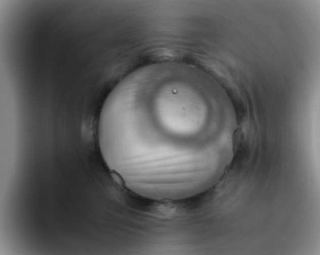 X0000092050423200709262013