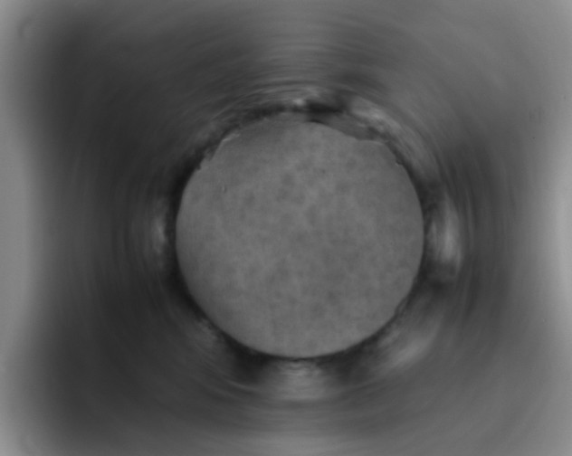 X0000092050424200709262013