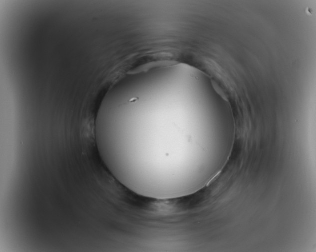 X0000092050425200709262013