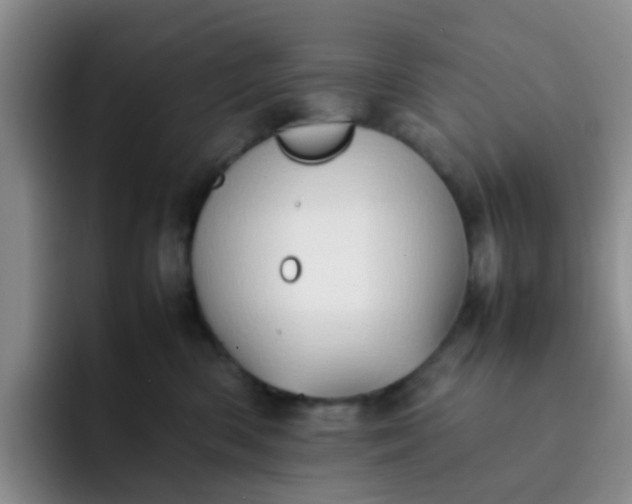 X0000092050426200709262013