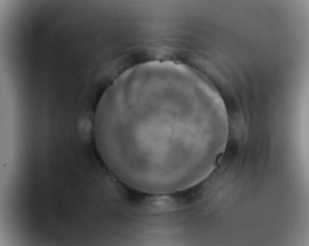 X0000092050427200709262013