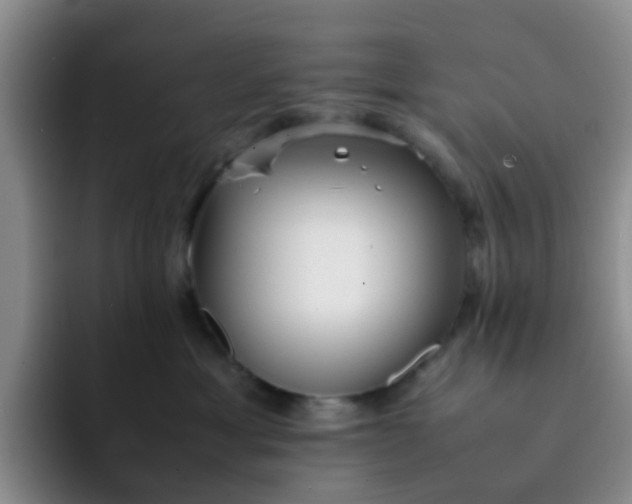 X0000092050429200709262013