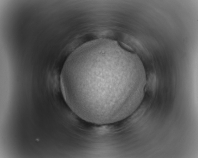 X0000092050430200709262013