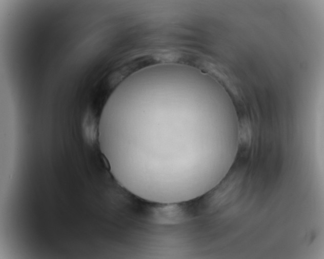 X0000092050431200709262013