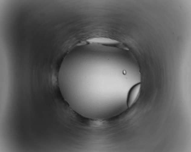 X0000092050432200709262013