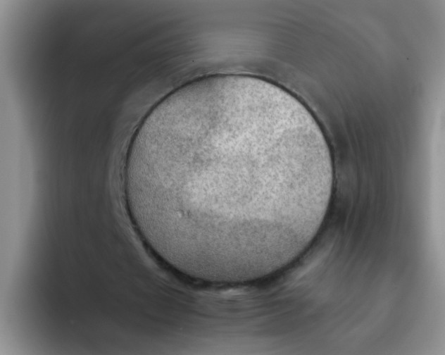 X0000092050433200709262012