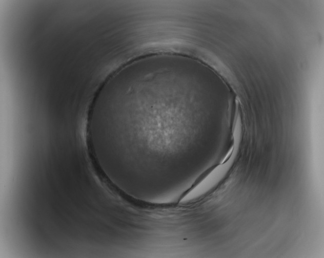 X0000092050434200709262012