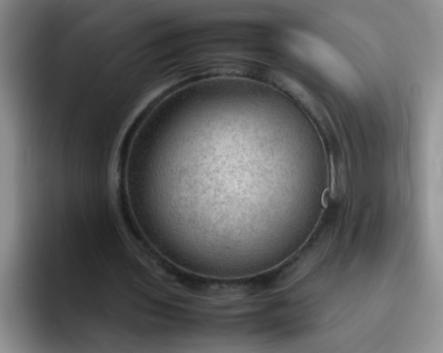 X0000092050435200709262012