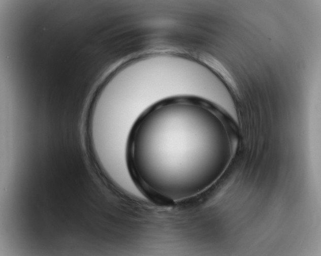 X0000092050436200709262012