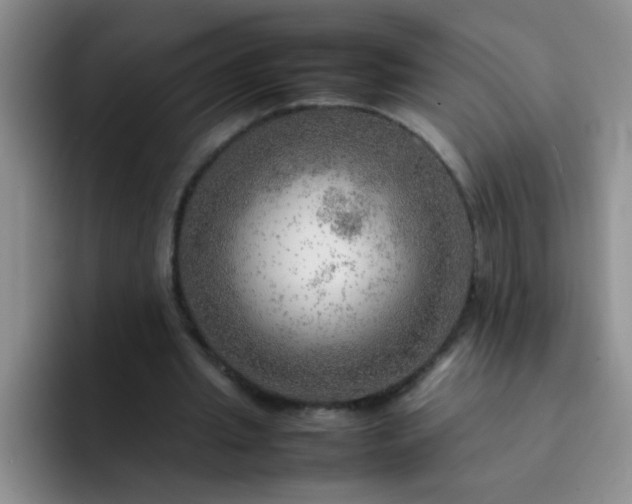 X0000092050437200709262012