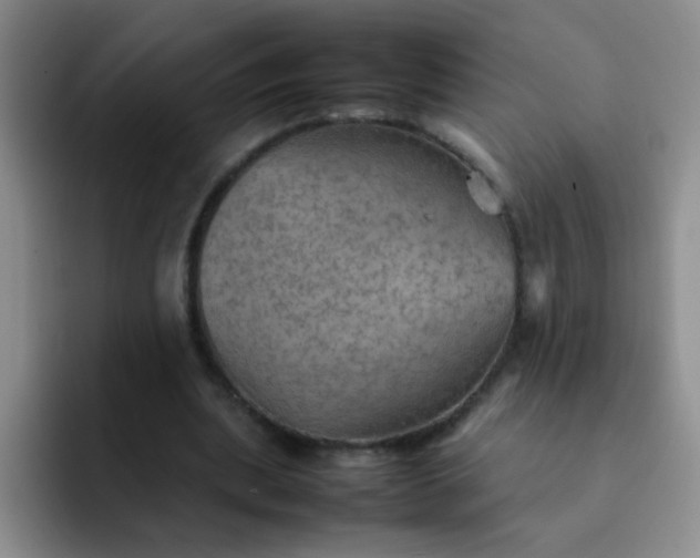 X0000092050439200709262012