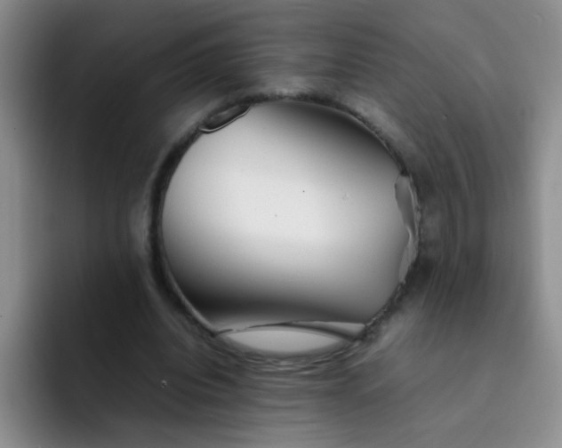 X0000092050440200709262012