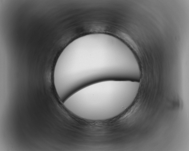 X0000092050441200709262012