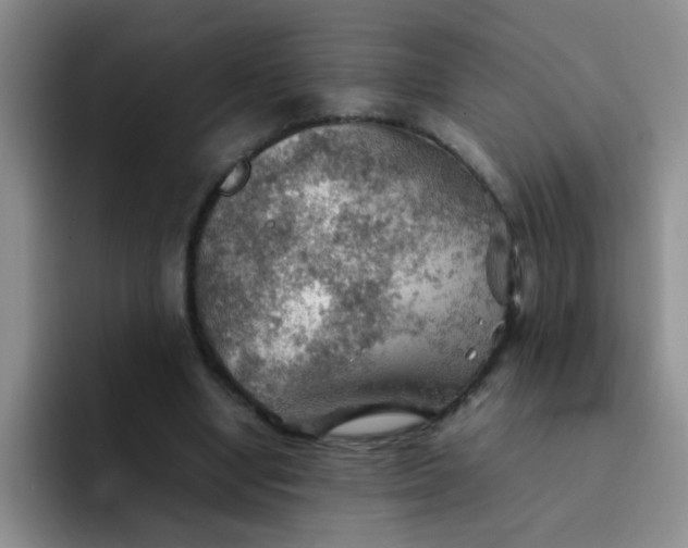 X0000092050442200709262012