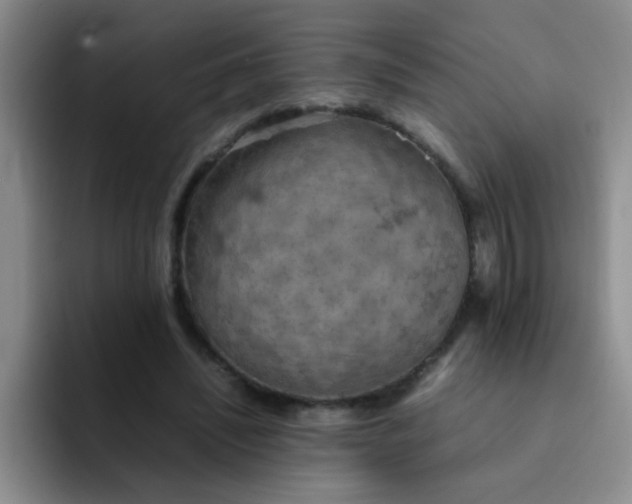 X0000092050444200709262012