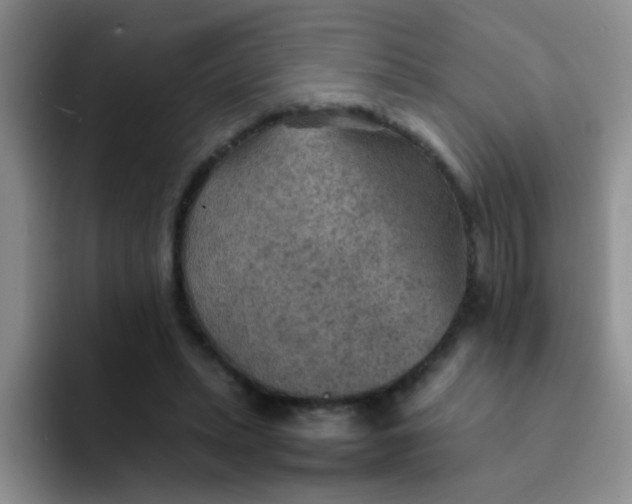 X0000092050447200709262012