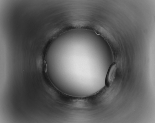 X0000092050448200709262012