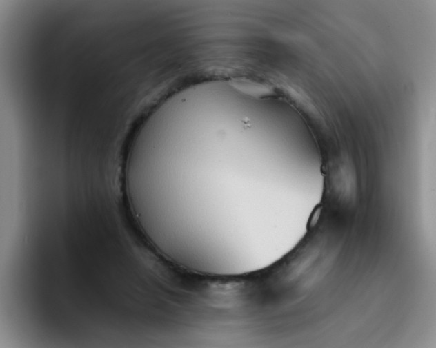 X0000092050450200709262012