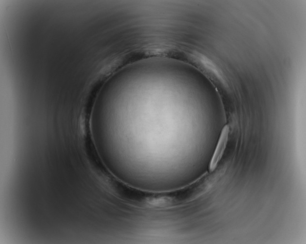 X0000092050452200709262012