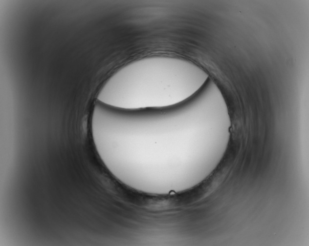 X0000092050454200709262013