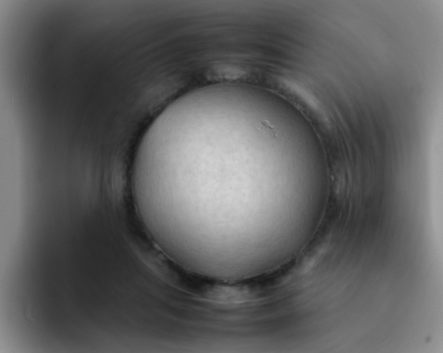 X0000092050455200709262013