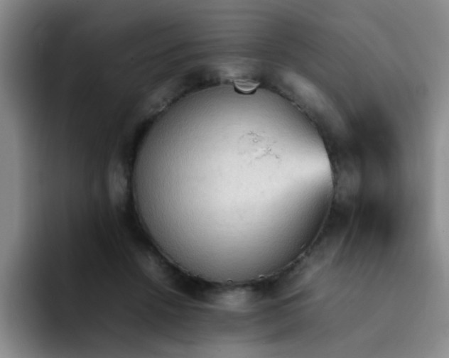 X0000092050456200709262013