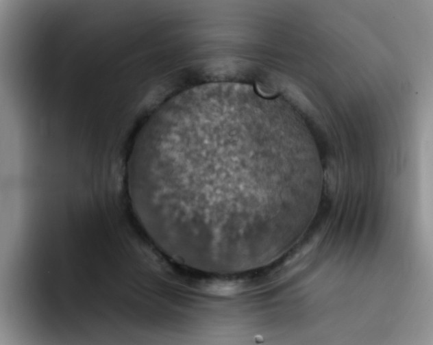 X0000092050458200709262013