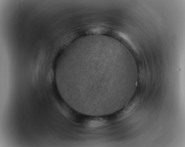 X0000092050459200709262013