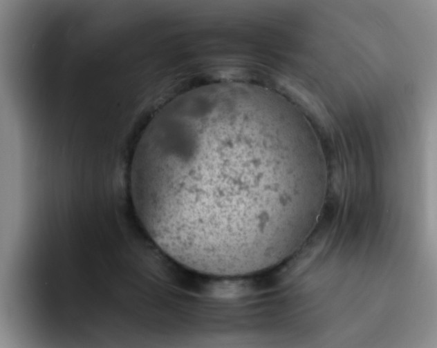 X0000092050461200709262013