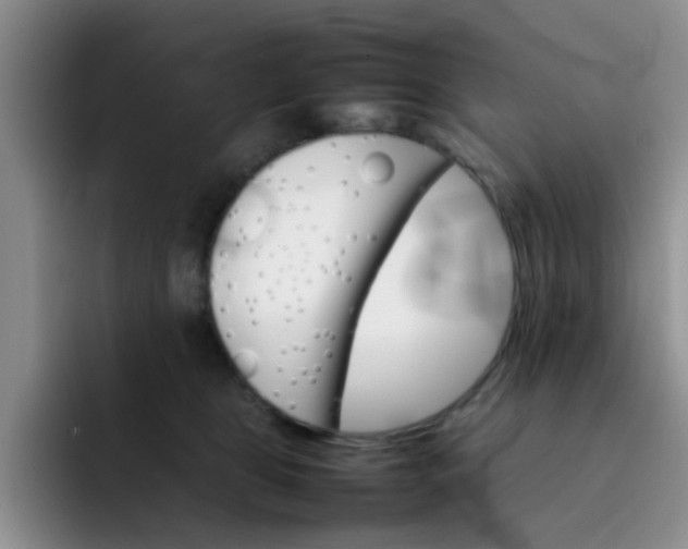 X0000092050469200709262013