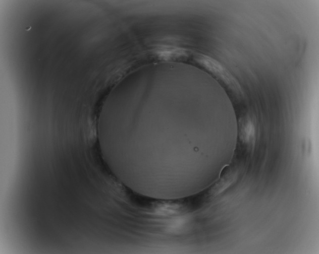 X0000092050471200709262013