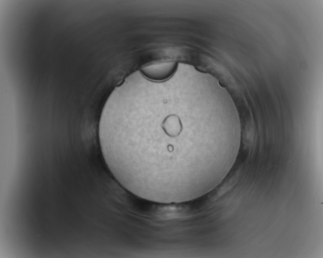 X0000092050473200709262013