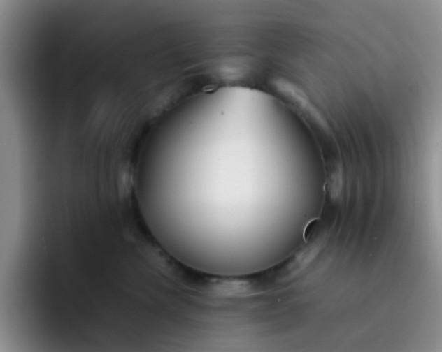 X0000092050476200709262013