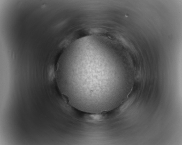 X0000092050478200709262013