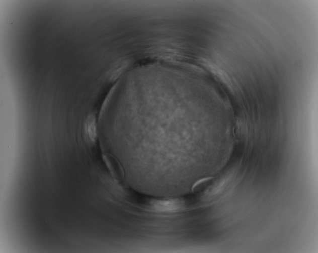 X0000092050479200709262013