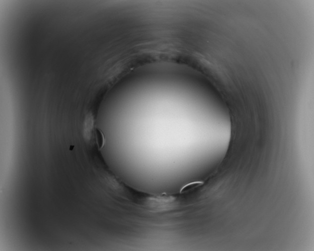 X0000092050480200709262013