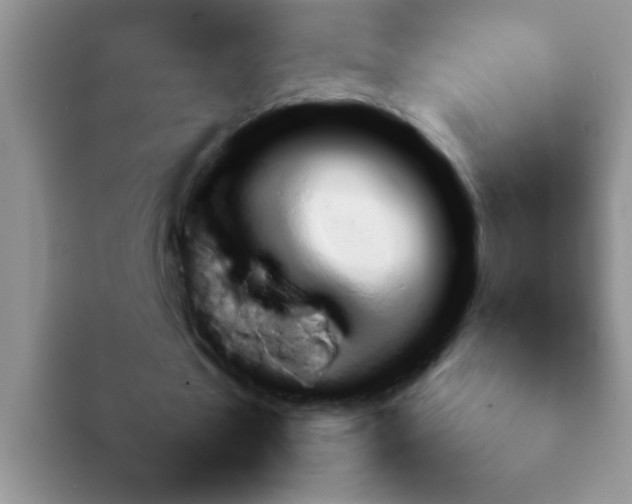 X0000092050481200709262012