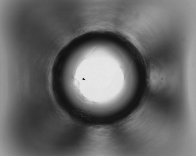 X0000092050482200709262012