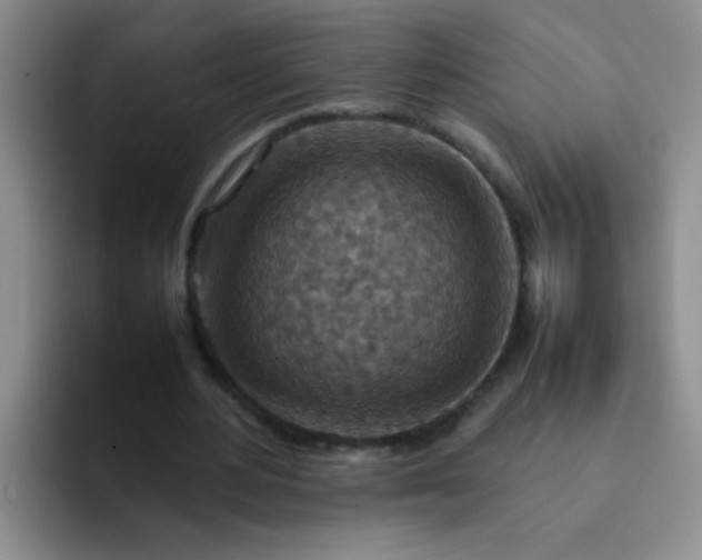 X0000092050484200709262012