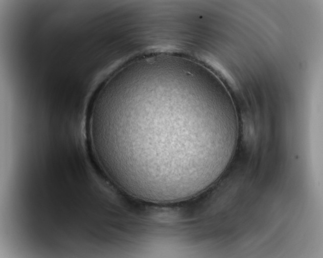 X0000092050486200709262012