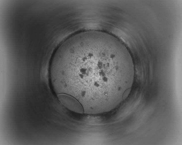 X0000092050487200709262012