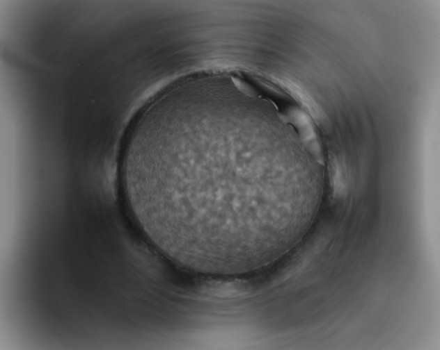 X0000092050488200709262012