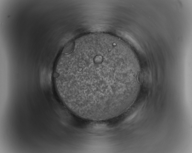 X0000092050491200709262012