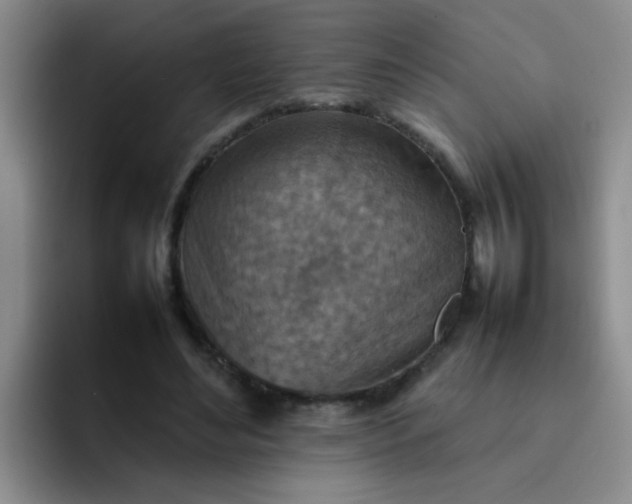 X0000092050492200709262012